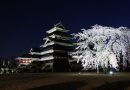 松本で桜の開花は4月10日!? 2017花見予報